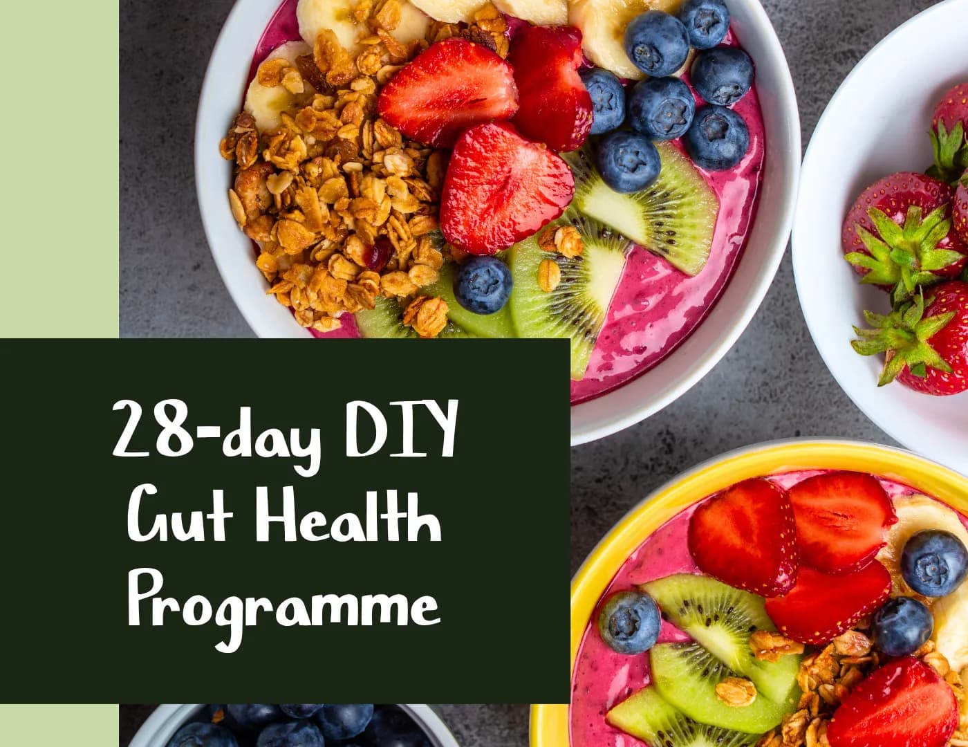 28-day DIY Gut Health Programme
